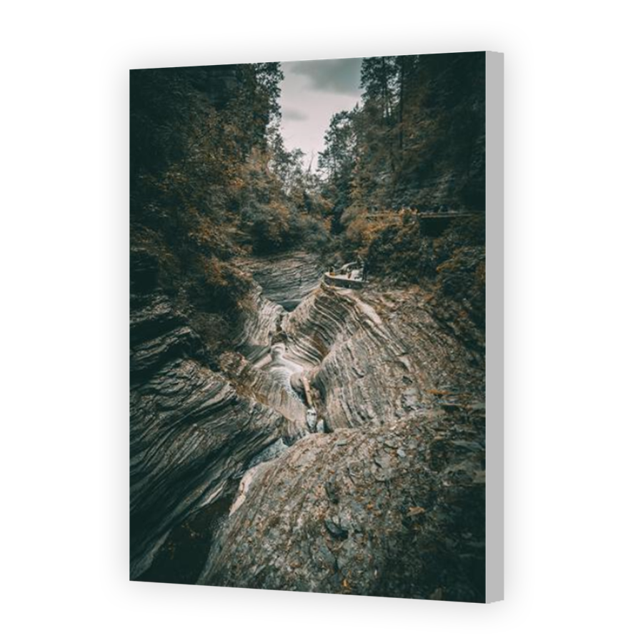 Thumbnail for Canvas - Coloured Canvas Wrap