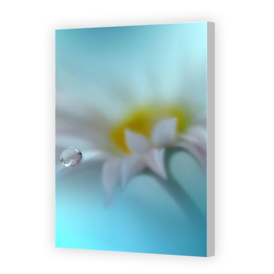 Thumbnail for Canvas - Coloured Canvas Wrap