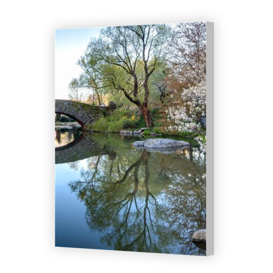 Thumbnail for Canvas - Coloured Canvas Wrap