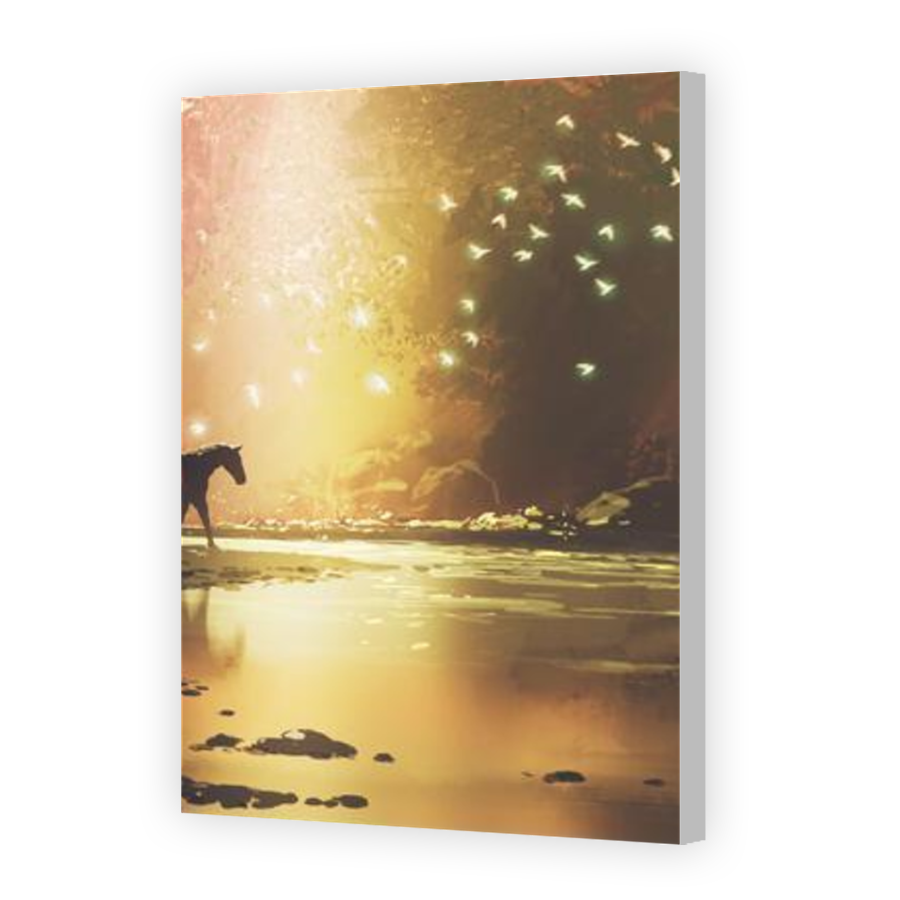 Thumbnail for Canvas - Coloured Canvas Wrap