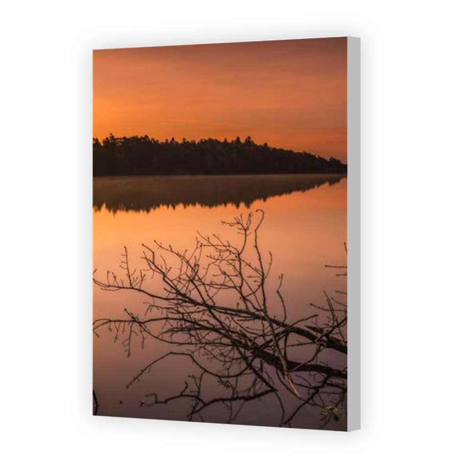 Thumbnail for Canvas - Coloured Canvas Wrap