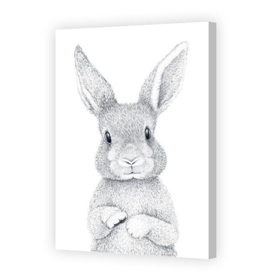 Thumbnail for Canvas - Coloured Canvas Wrap