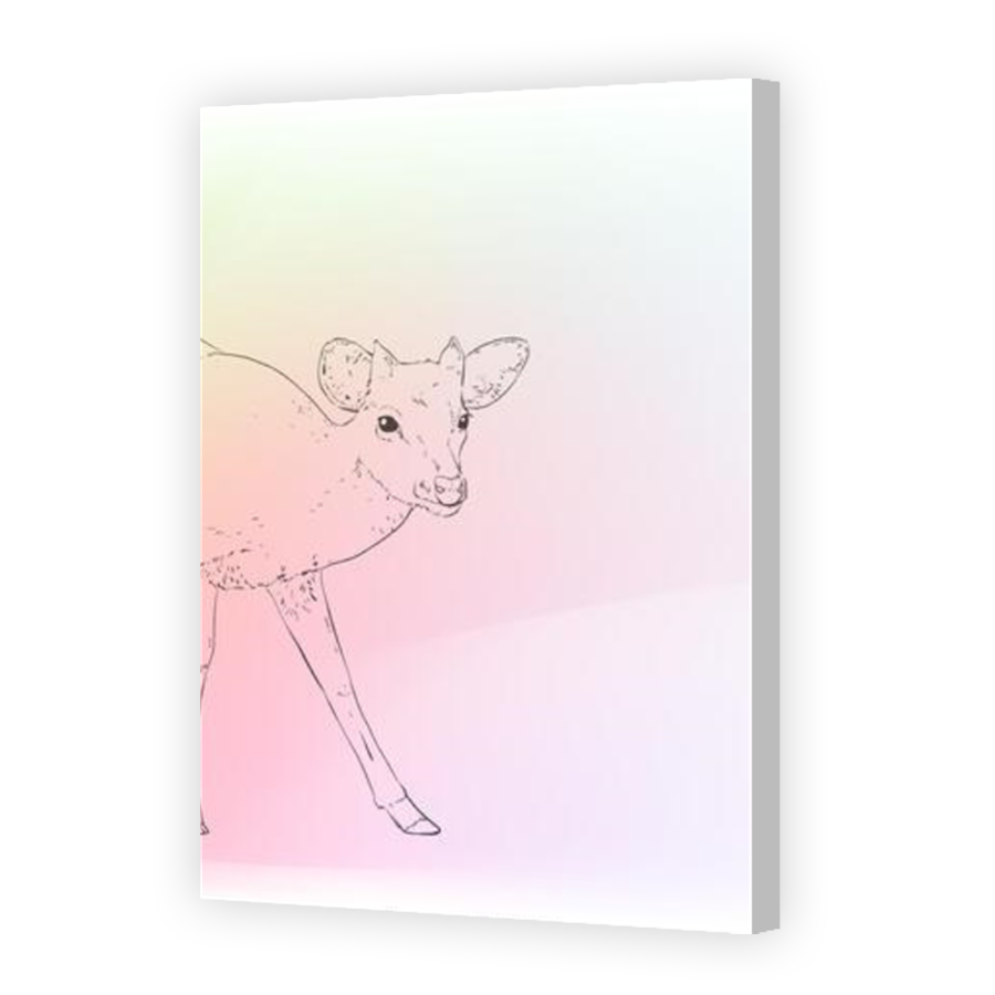 Thumbnail for Canvas - Coloured Canvas Wrap