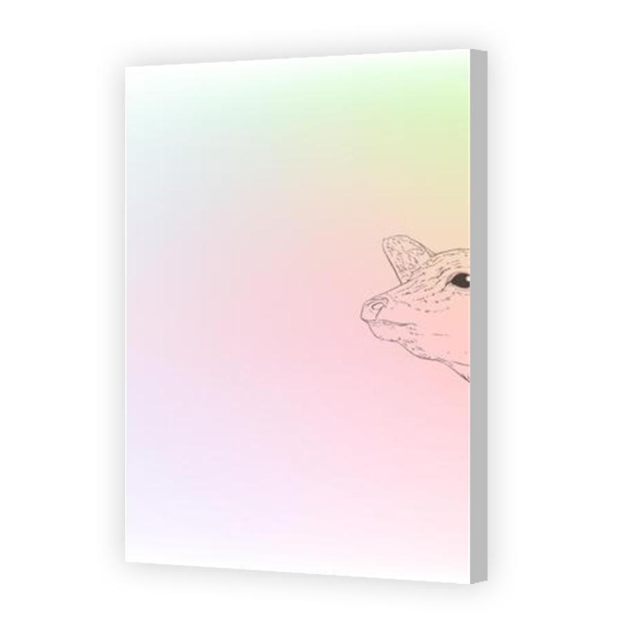 Thumbnail for Canvas - Coloured Canvas Wrap
