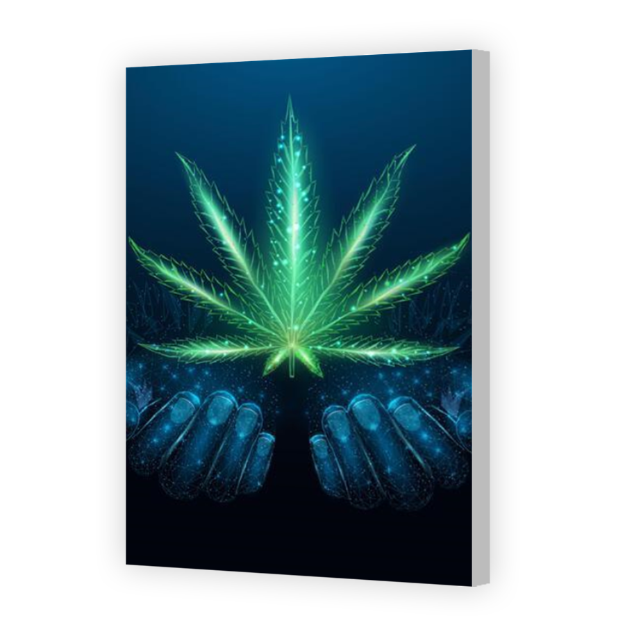 Thumbnail for Canvas - Coloured Canvas Wrap