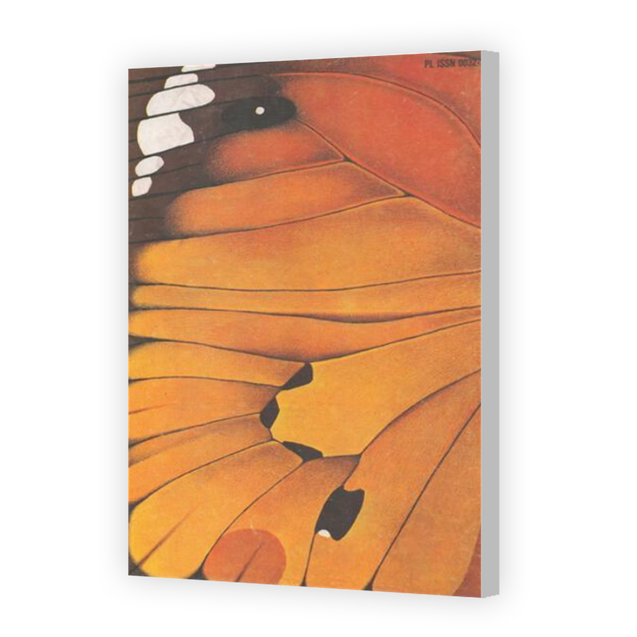 Thumbnail for Canvas - Coloured Canvas Wrap