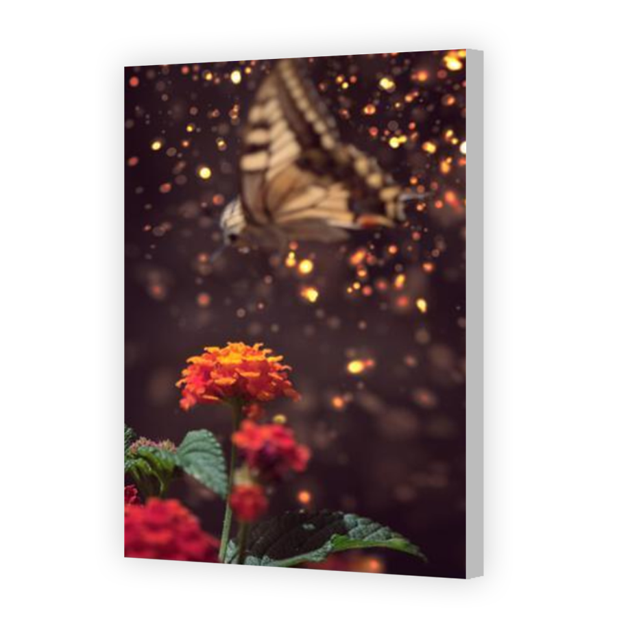 Thumbnail for Canvas - Coloured Canvas Wrap