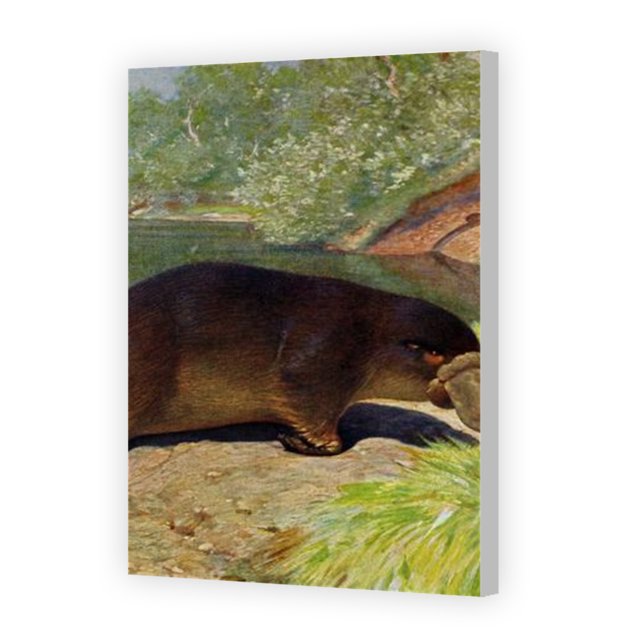 Thumbnail for Canvas - Coloured Canvas Wrap