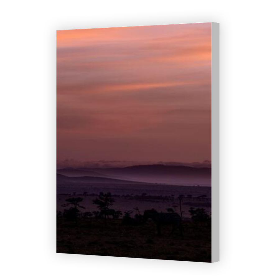 Thumbnail for Canvas - Coloured Canvas Wrap