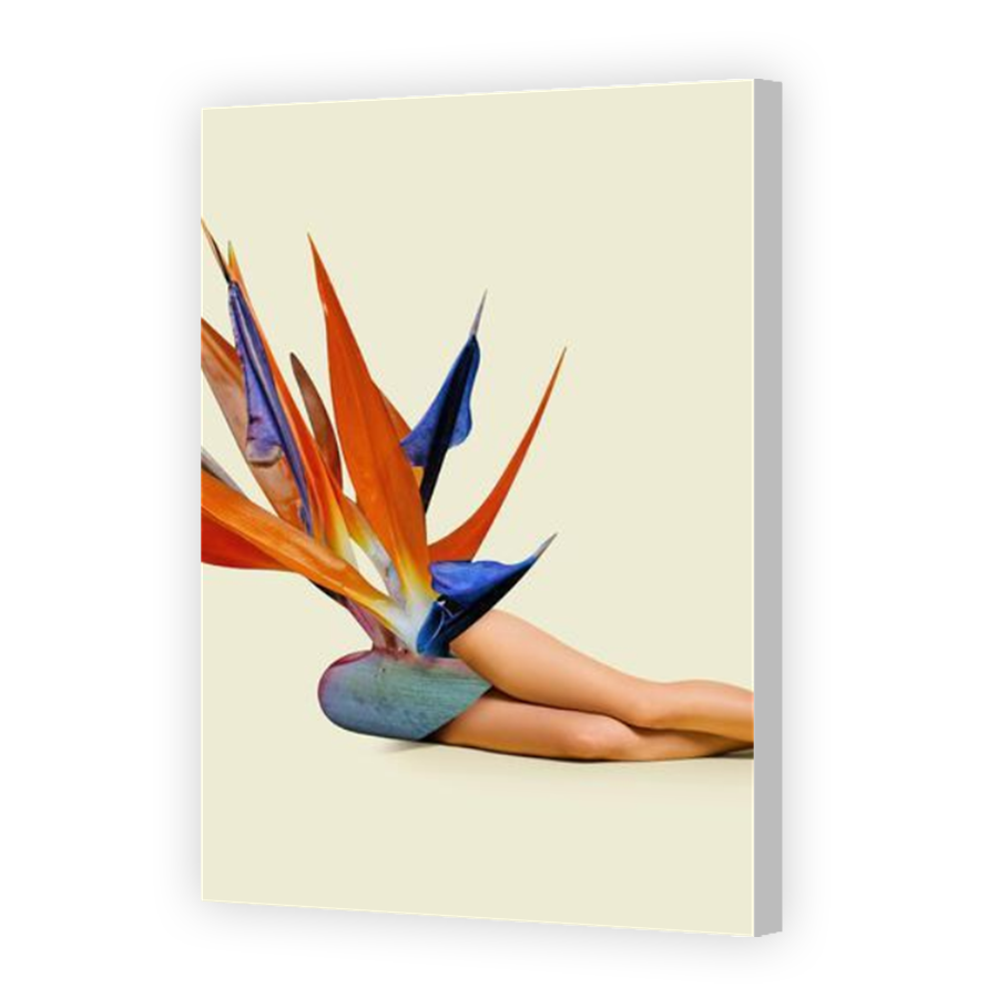 Thumbnail for Canvas - Coloured Canvas Wrap