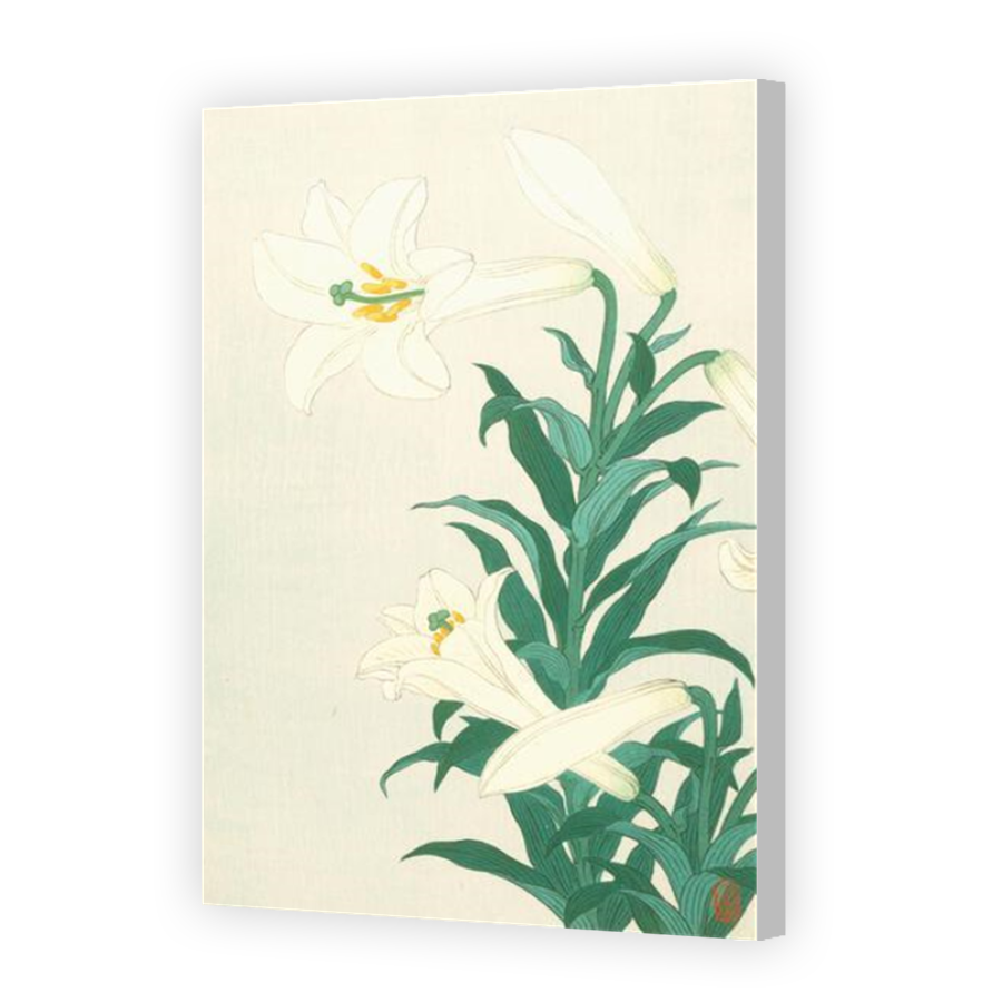 Thumbnail for Canvas - Coloured Canvas Wrap