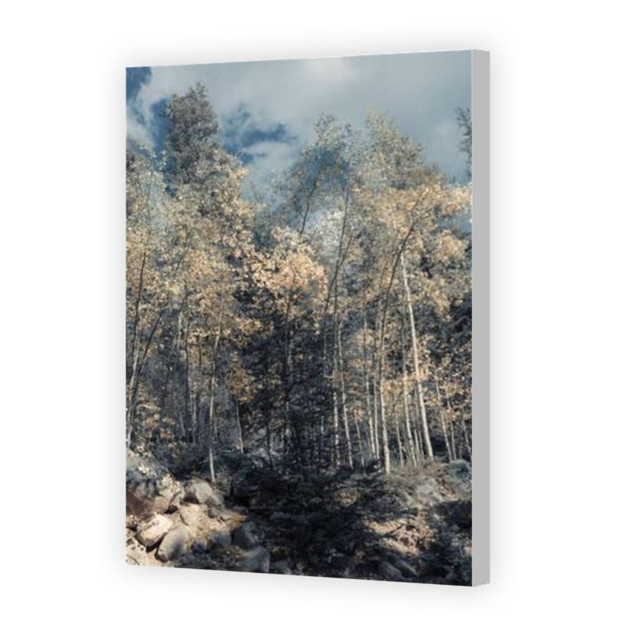 Thumbnail for Canvas - Coloured Canvas Wrap