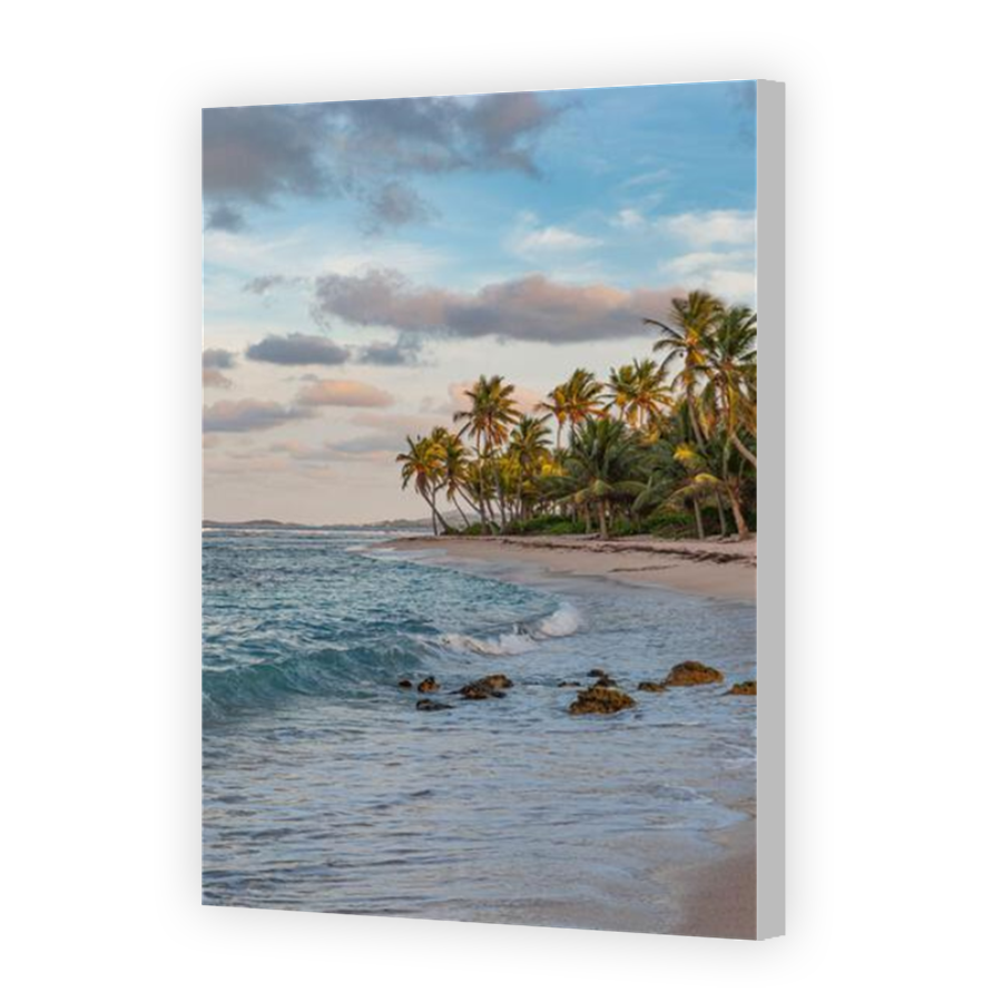 Thumbnail for Canvas - Coloured Canvas Wrap