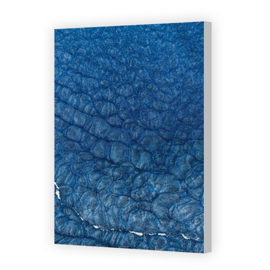 Thumbnail for Canvas - Coloured Canvas Wrap