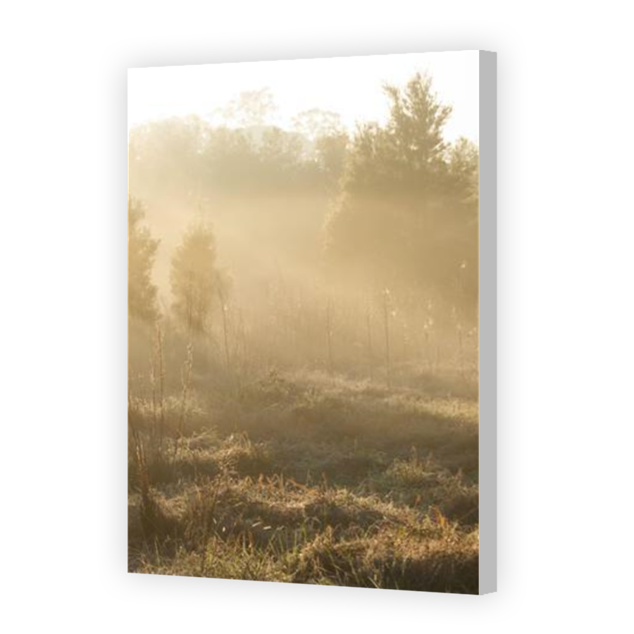 Thumbnail for Canvas - Coloured Canvas Wrap