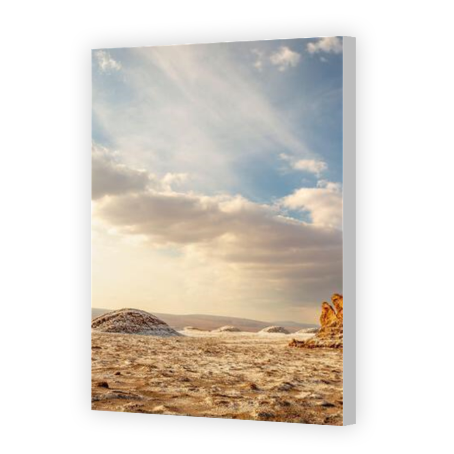 Thumbnail for Canvas - Coloured Canvas Wrap