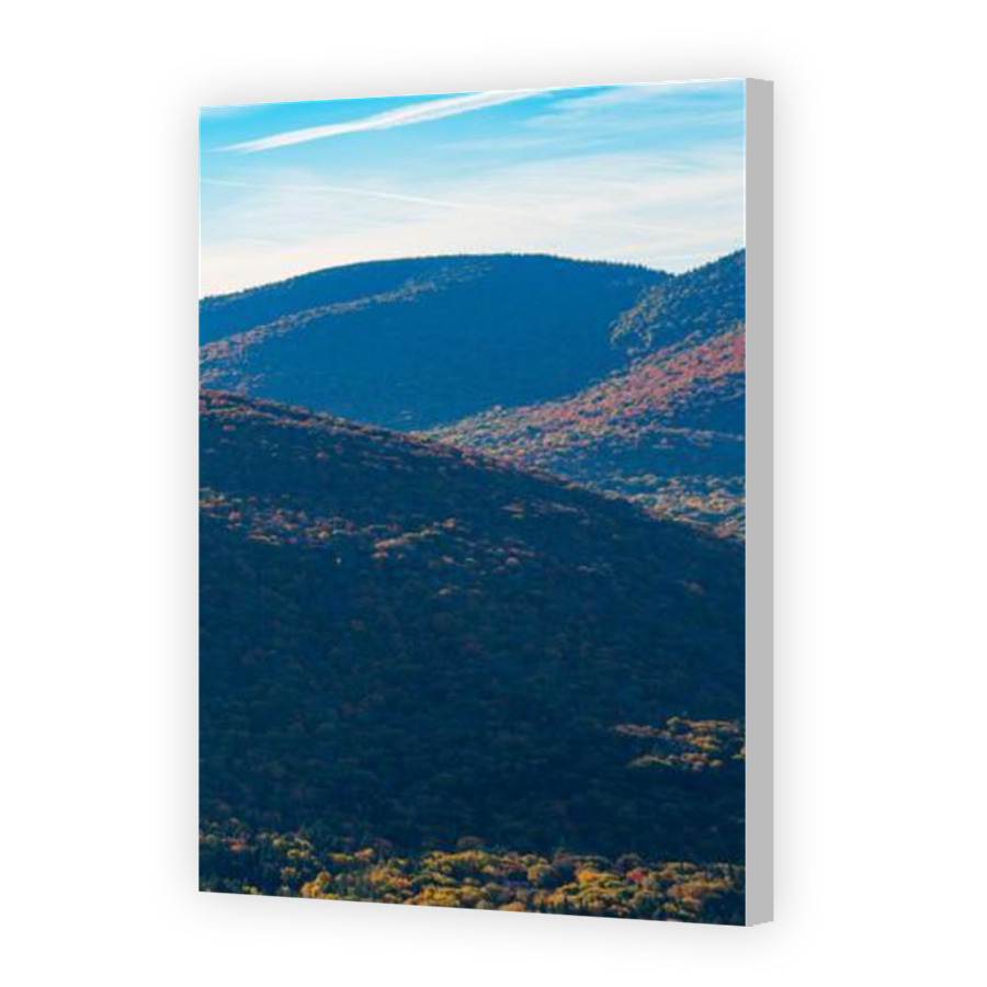 Thumbnail for Canvas - Coloured Canvas Wrap