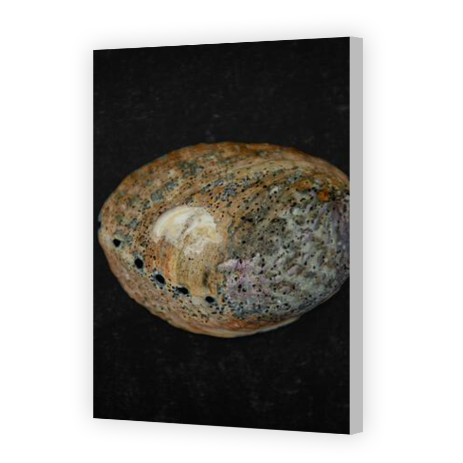 Thumbnail for Canvas - Coloured Canvas Wrap