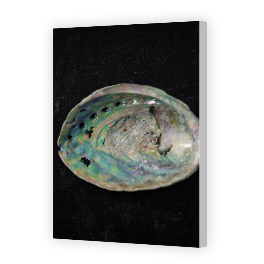 Thumbnail for Canvas - Coloured Canvas Wrap