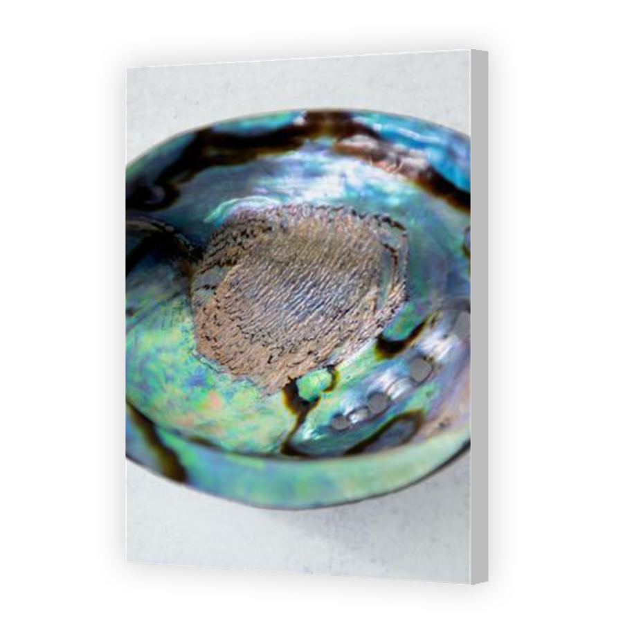 Thumbnail for Canvas - Coloured Canvas Wrap