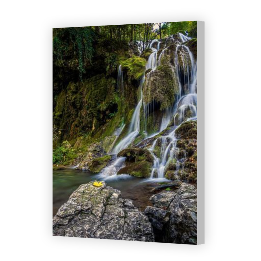 Thumbnail for Canvas - Coloured Canvas Wrap