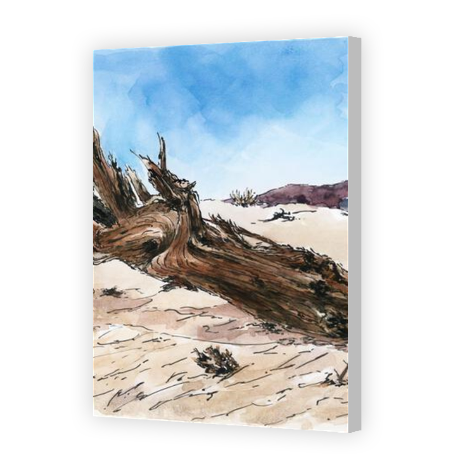 Thumbnail for Canvas - Coloured Canvas Wrap