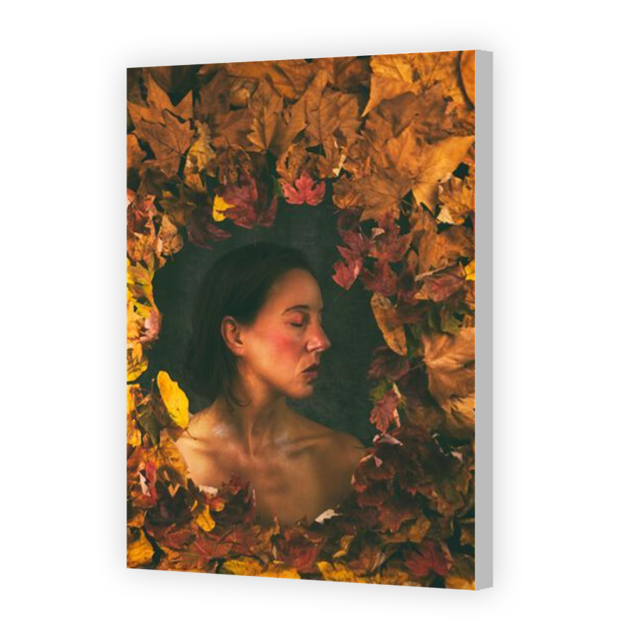 Thumbnail for Canvas - Coloured Canvas Wrap