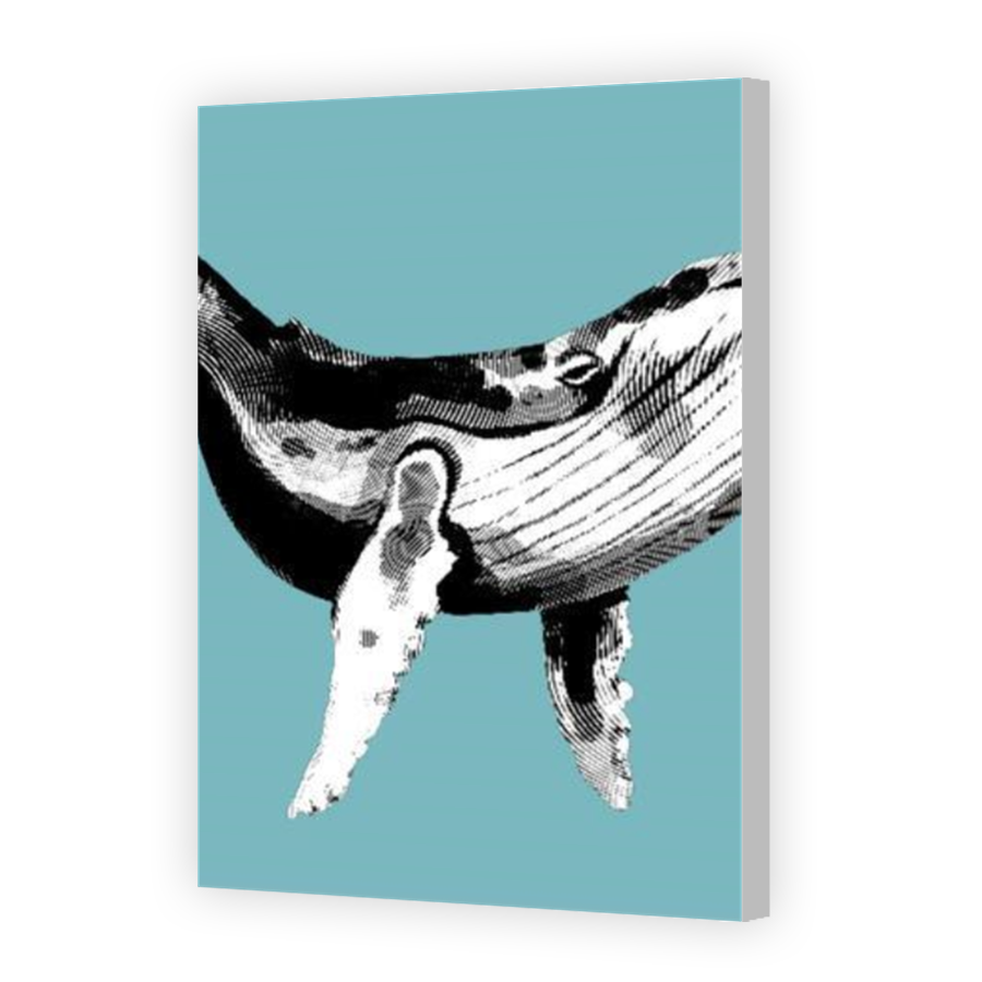 Thumbnail for Canvas - Coloured Canvas Wrap