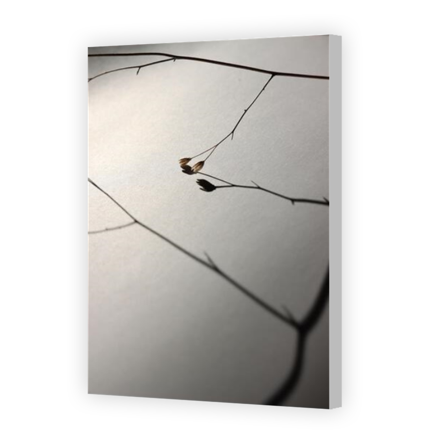 Thumbnail for Canvas - Coloured Canvas Wrap