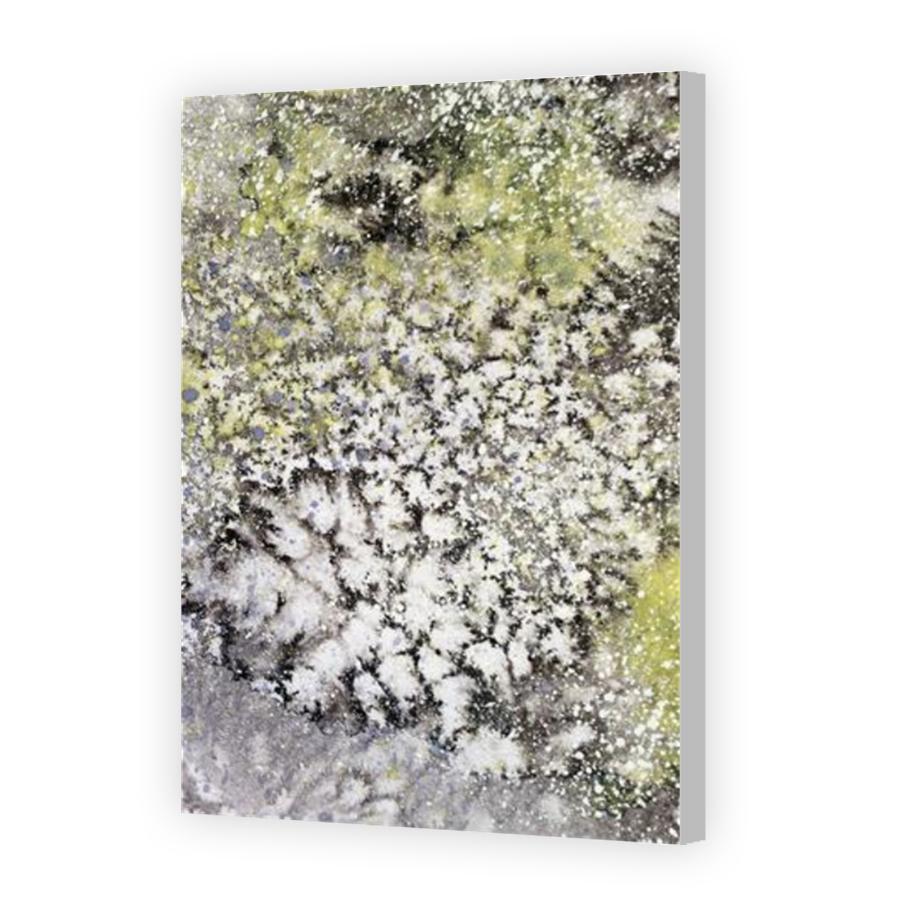 Thumbnail for Canvas - Coloured Canvas Wrap