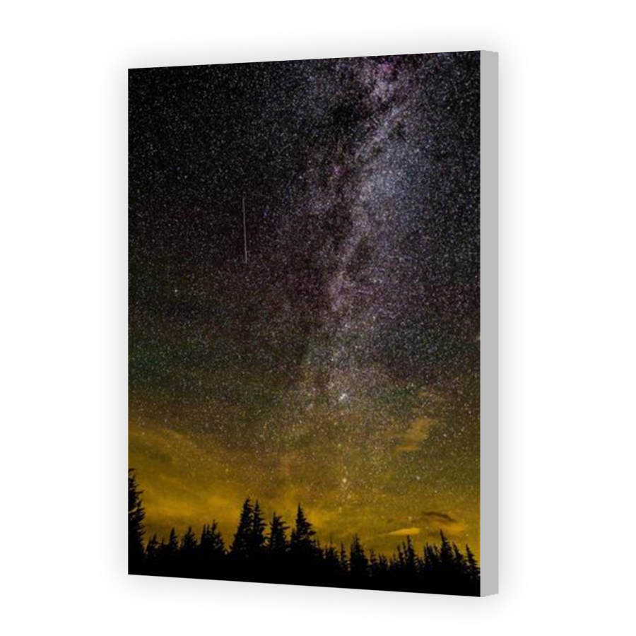 Thumbnail for Canvas - Coloured Canvas Wrap