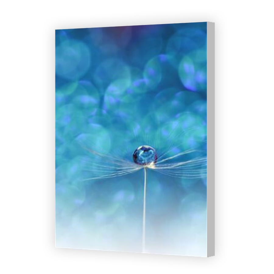 Thumbnail for Canvas - Coloured Canvas Wrap