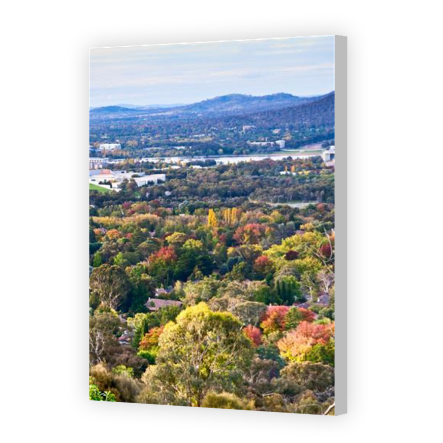 Thumbnail for Canvas - Coloured Canvas Wrap