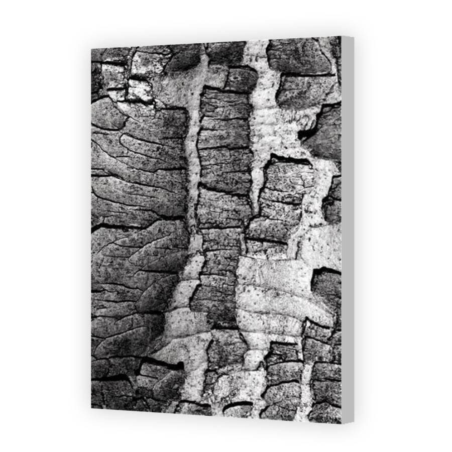 Thumbnail for Canvas - Coloured Canvas Wrap