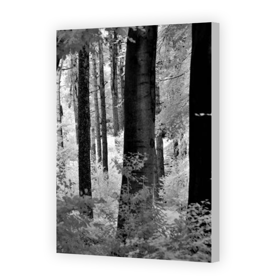 Thumbnail for Canvas - Coloured Canvas Wrap