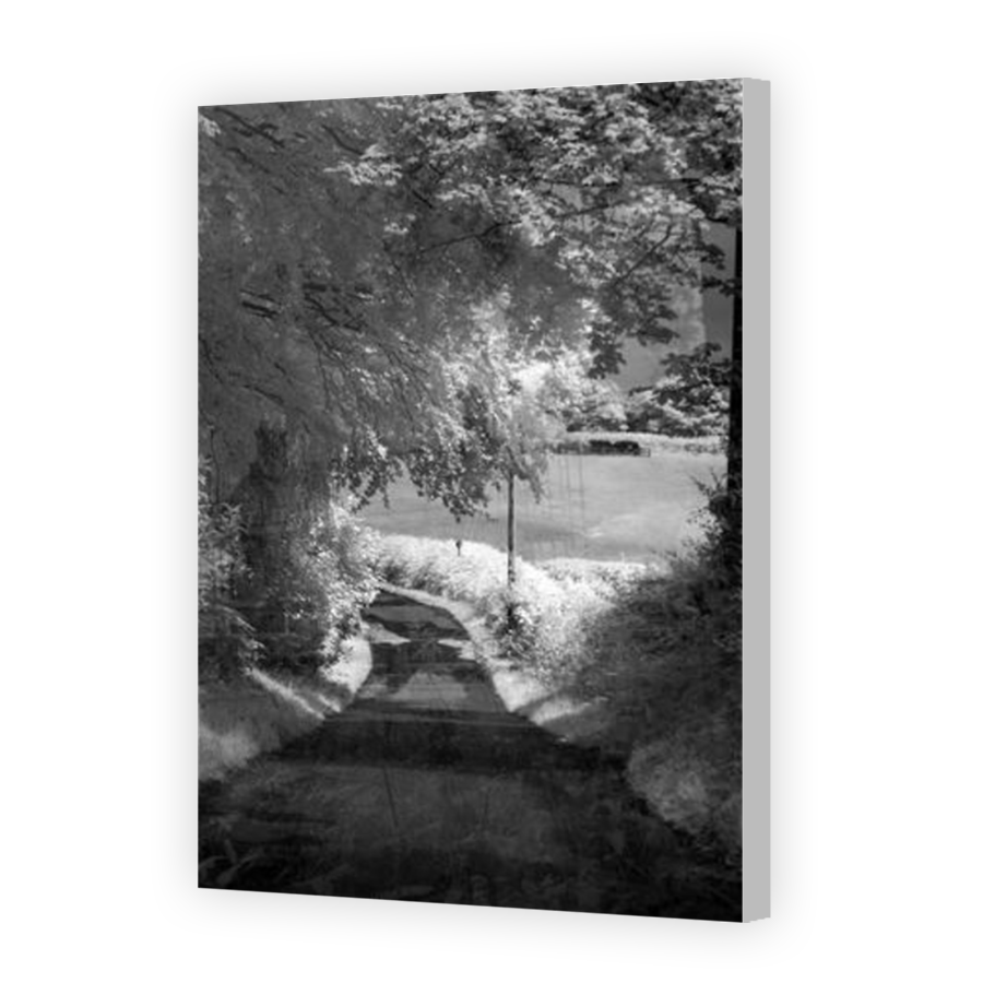 Thumbnail for Canvas - Coloured Canvas Wrap