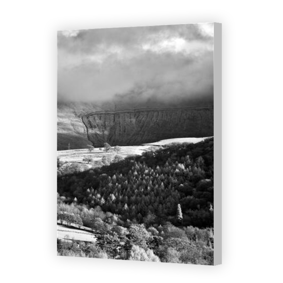 Thumbnail for Canvas - Coloured Canvas Wrap