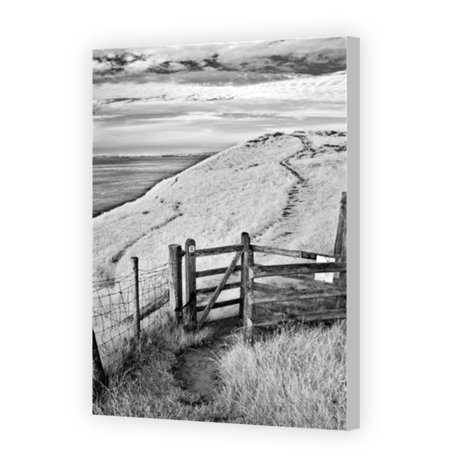 Thumbnail for Canvas - Coloured Canvas Wrap