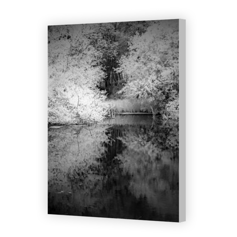 Thumbnail for Canvas - Coloured Canvas Wrap