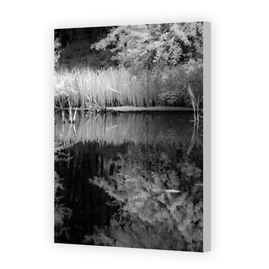 Thumbnail for Canvas - Coloured Canvas Wrap