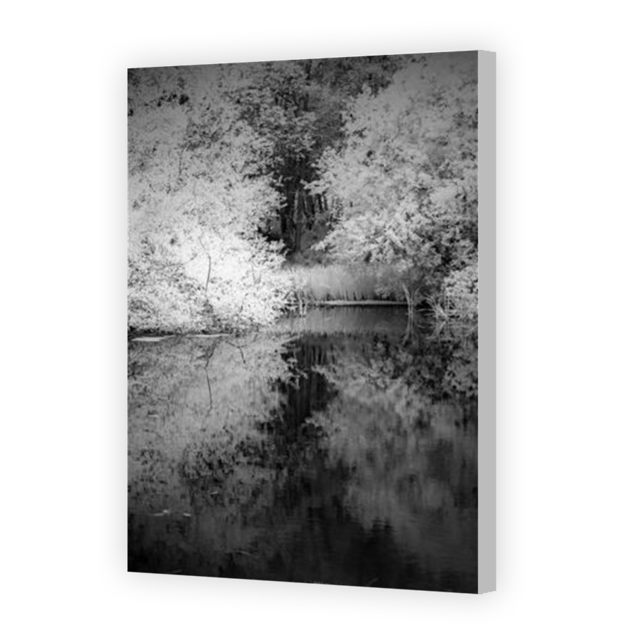 Thumbnail for Canvas - Coloured Canvas Wrap