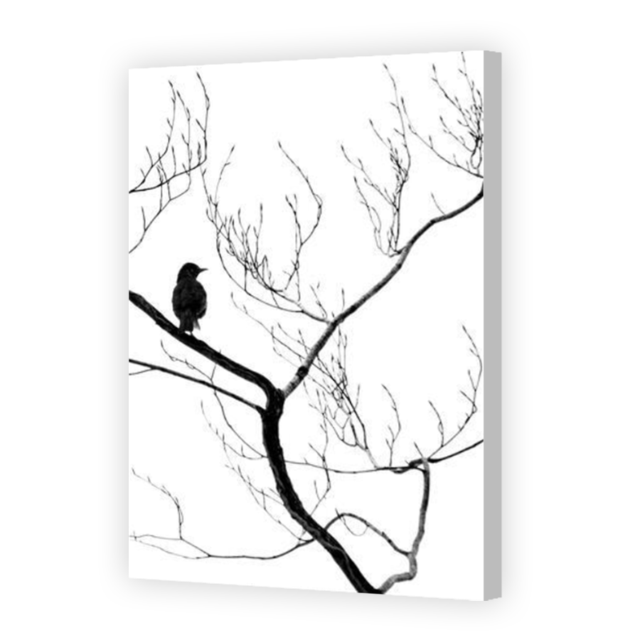 Thumbnail for Canvas - Coloured Canvas Wrap