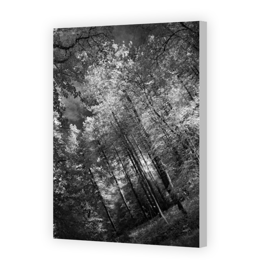 Thumbnail for Canvas - Coloured Canvas Wrap