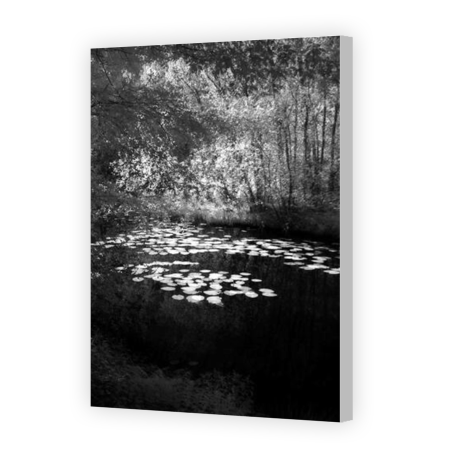 Thumbnail for Canvas - Coloured Canvas Wrap
