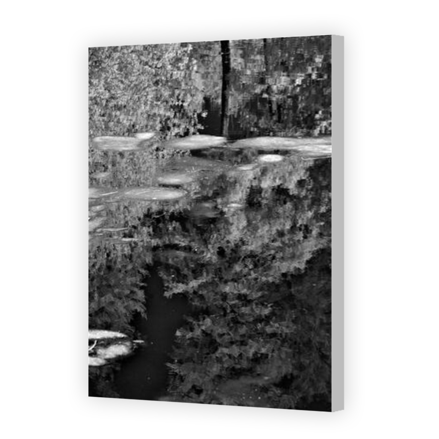 Thumbnail for Canvas - Coloured Canvas Wrap