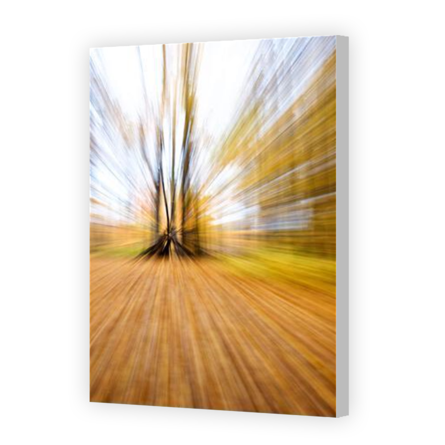 Thumbnail for Canvas - Coloured Canvas Wrap