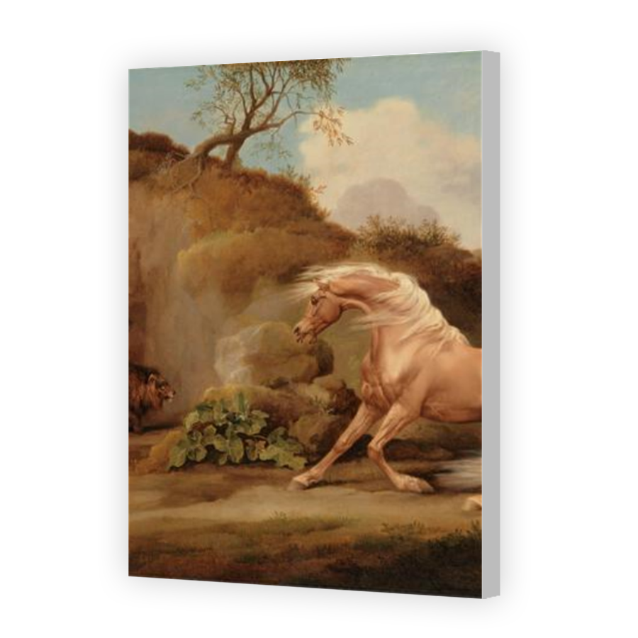 Thumbnail for Canvas - Coloured Canvas Wrap