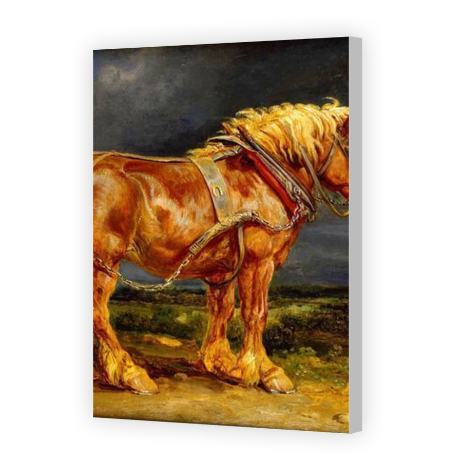 Thumbnail for Canvas - Coloured Canvas Wrap