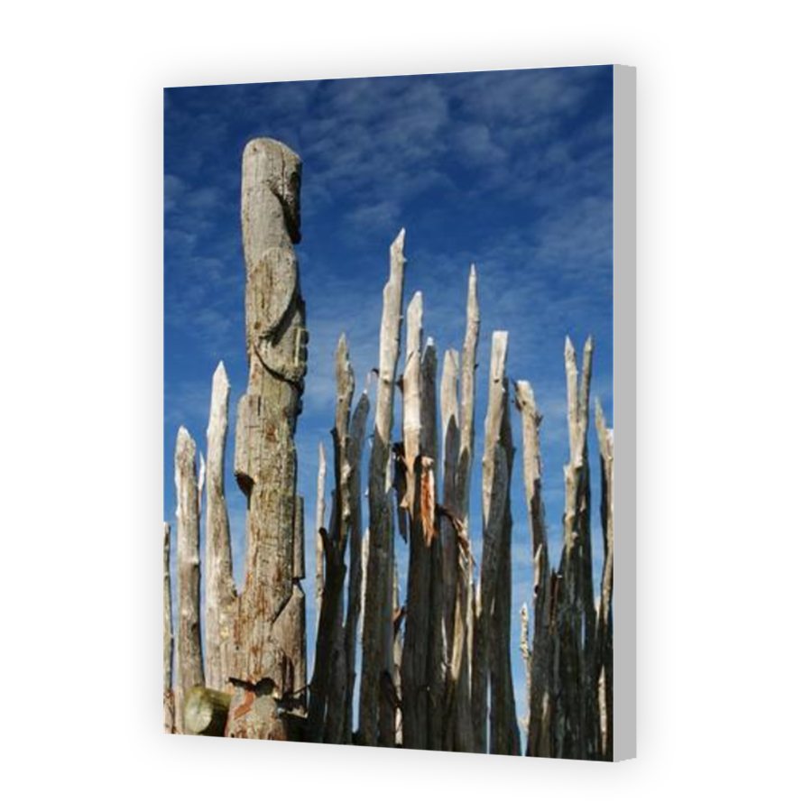 Thumbnail for Canvas - Coloured Canvas Wrap