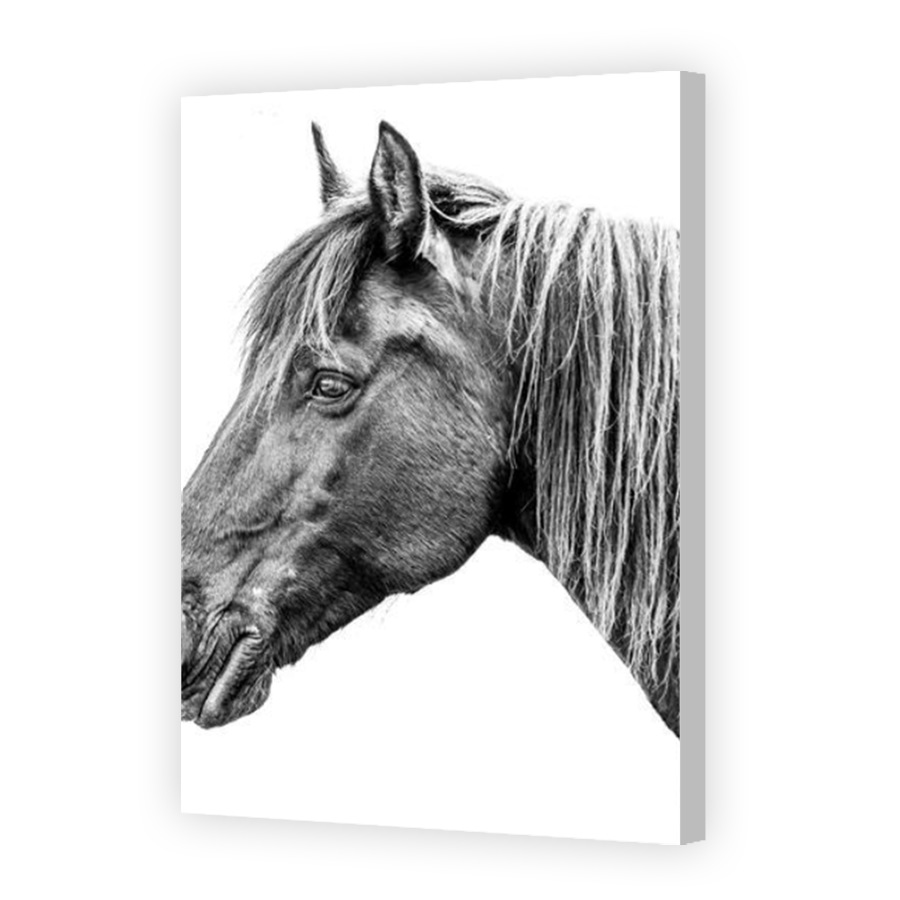Thumbnail for Canvas - Coloured Canvas Wrap